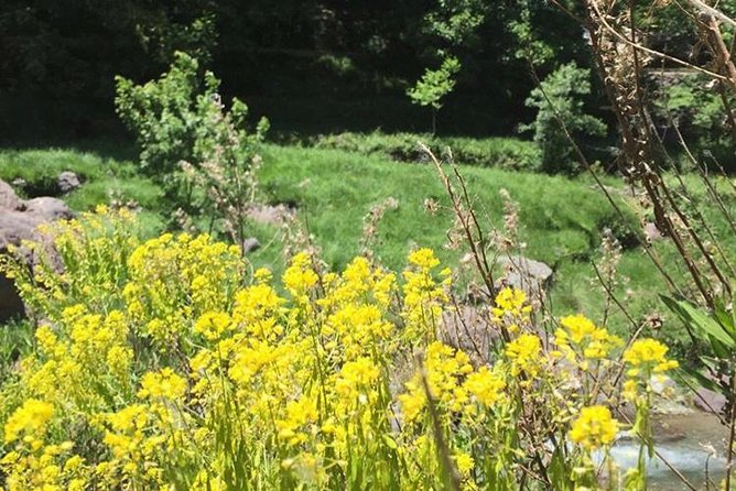 Atlas Mountains and Three Valleys & Waterfalls - Camel Ride Day Trip Marrakech - Common Questions