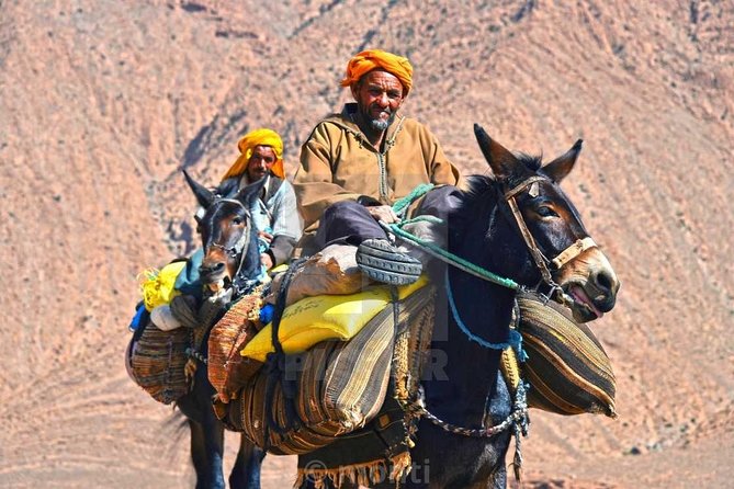 Atlas Mountains and Three Valleys & Waterfalls: Guided Day Trip From Marrakech - Visit a Local Argan Oil Cooperative