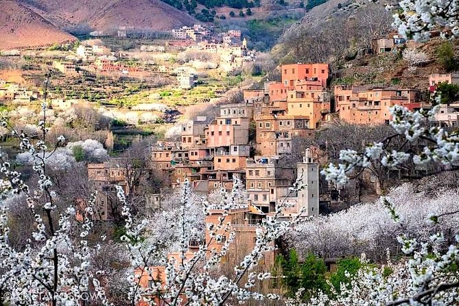 Atlas Mountains and Three Valleys & Waterfalls: Guided Day Trip From Marrakech - Good To Know