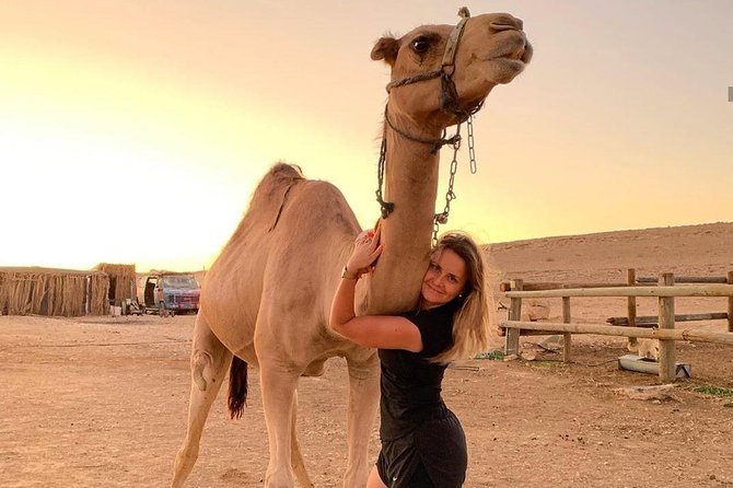 Atlas Mountains and Three Valleys & Waterfalls: Guided Day Trip From Marrakech - Itinerary Overview