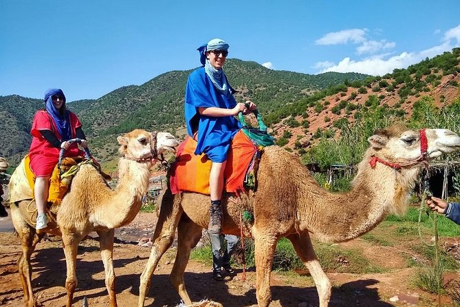Atlas Mountains and Three Valleys & Waterfalls: Guided Day Trip From Marrakech - Pricing