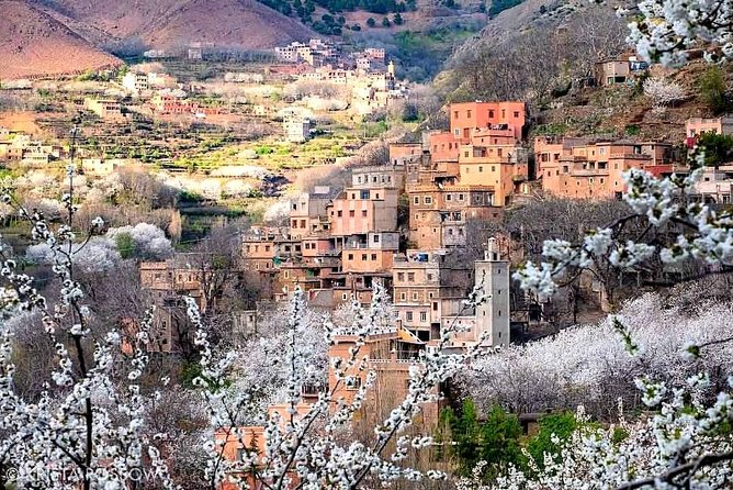 Atlas Mountains and Three Valleys & Waterfalls Guided Day Trip From Marrakech - Transportation