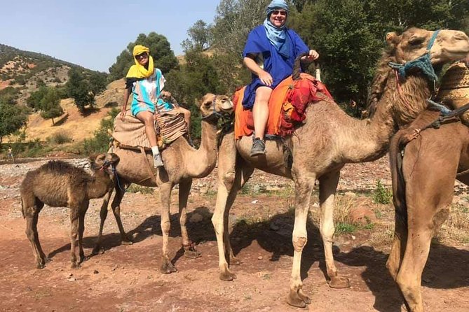 Atlas Mountains and Three Valleys & Waterfalls Guided Day Trip From Marrakech - The Sum Up