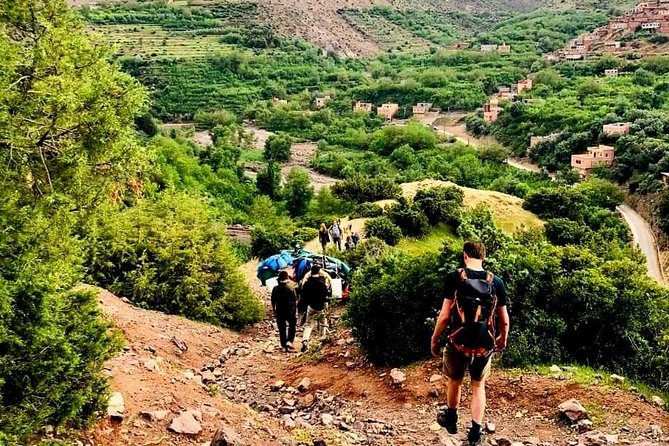 Atlas Mountains and Three Valleys & Waterfalls Guided Day Trip From Marrakech - Cultural Immersion and Local Experiences