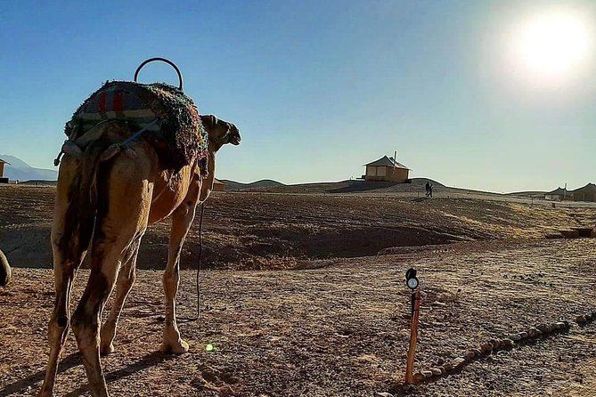 Atlas Mountains and Three Valleys & Waterfalls Guided Day Trip From Marrakech - Common Questions