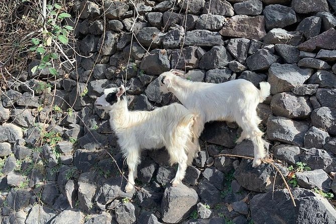 Atlas Mountains and Three Valleys & Waterfalls - Villages Marrakech Day Trip - Private Guided Trip Details