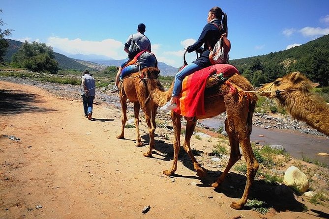 Atlas Mountains and Three Valleys & Waterfalls With Camel Ride Day Trip - Good To Know