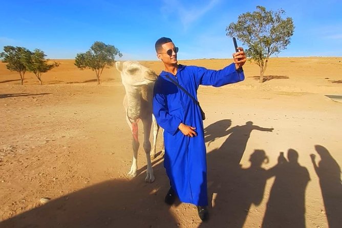 Atlas Mountains and Three Valleys & Waterfalls With Camel Ride Guided Day Trip - Common Questions