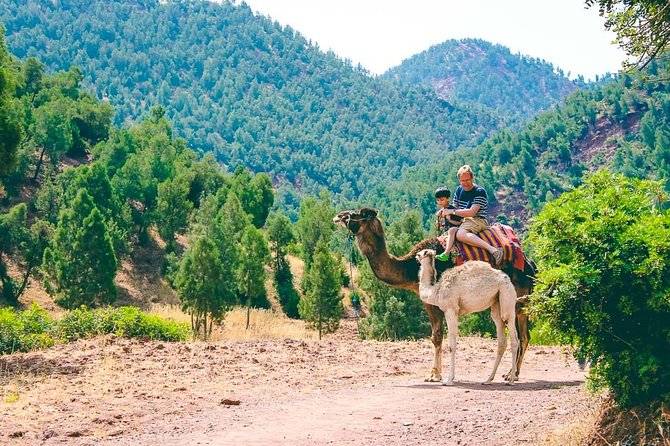 Atlas Mountains And Toubkal Massif & Waterfalls Guided Day Tour From Marrakech - Inclusions