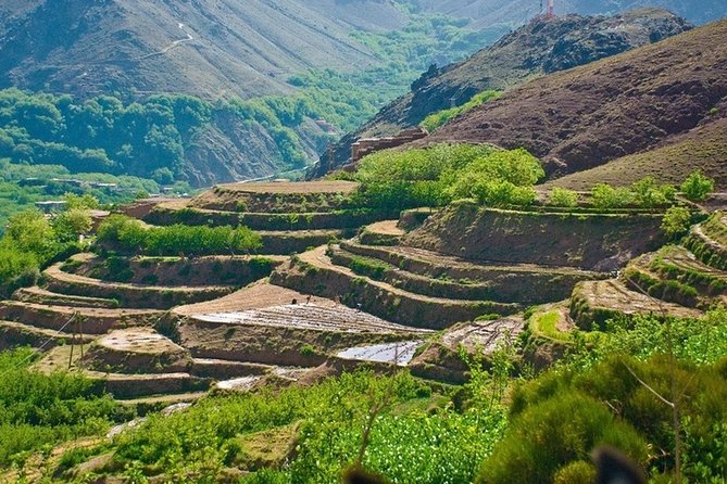 Atlas Mountains And Toubkal Massif & Waterfalls Guided Day Tour From Marrakech - What To Expect