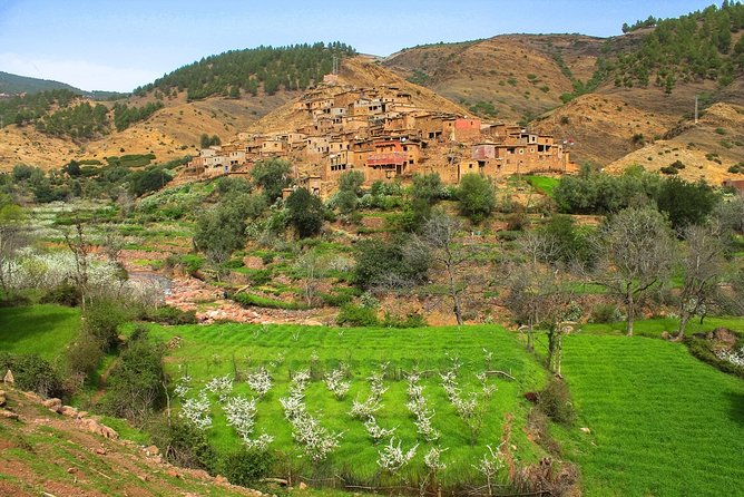 Atlas Mountains And Toubkal Massif & Waterfalls Guided Day Tour From Marrakech - Frequently Asked Questions