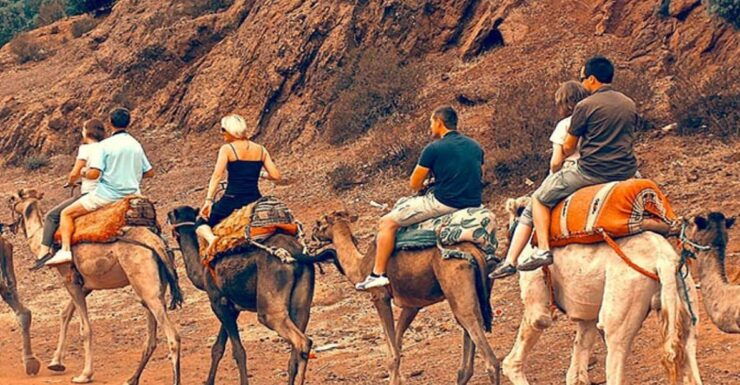 Atlas Mountains: Berber Valleys, Waterfalls & Camel Ride - Itinerary Highlights