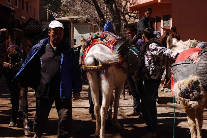 Atlas Mountains & Berber Villages - Marrakech Day Trip - Shared (8 Pers) - Meeting Point and Time