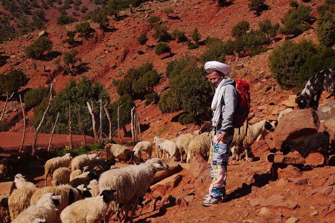 Atlas Mountains & Berber Villages - Marrakech Day Trip - Shared (8 Pers) - What to Expect