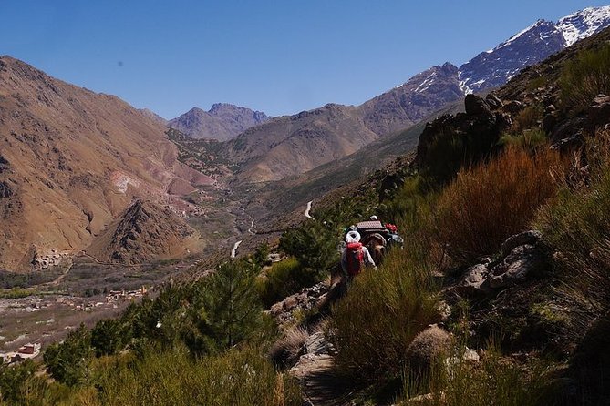 Atlas Mountains & Berber Villages - Marrakech Day Trip - Shared (8 Pers) - Additional Info