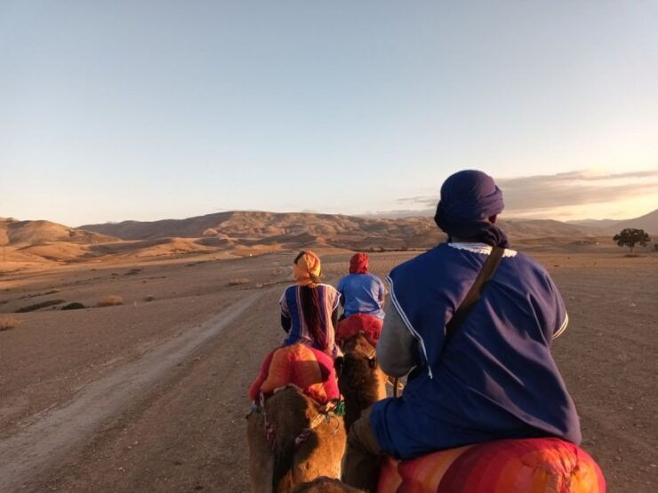 Atlas Mountains: Berber Villages, Waterfalls & Camel Ride - Overview of the Atlas Mountains Tour