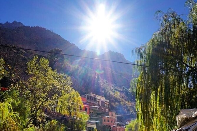 Atlas Mountains & Berber Villages With Camel Ride Included - Mixed Reviews and Customer Experiences