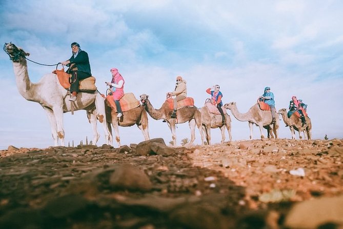 Atlas Mountains & Camel Ride Day Trip - Explore a Weekly Market