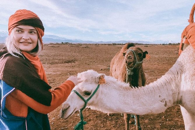Atlas Mountains & Camel Ride Day Trip - Book Your Adventure Today