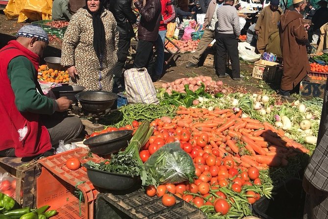 Atlas Mountains Day Tour From Marrakech Explore the Berber Villages & Waterfalls - Reviews and Ratings