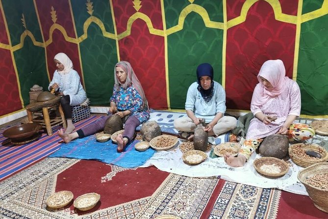 Atlas Mountains Day Tour to Agafay With Camel Ride - Tour Highlights and Activities