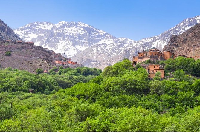 Atlas Mountains Day Tour to Agafay With Camel Ride - Reviews and Ratings