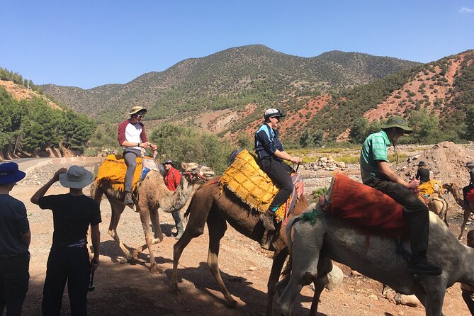 Atlas Mountains Day Tour With Camel Ride - Tour Highlights