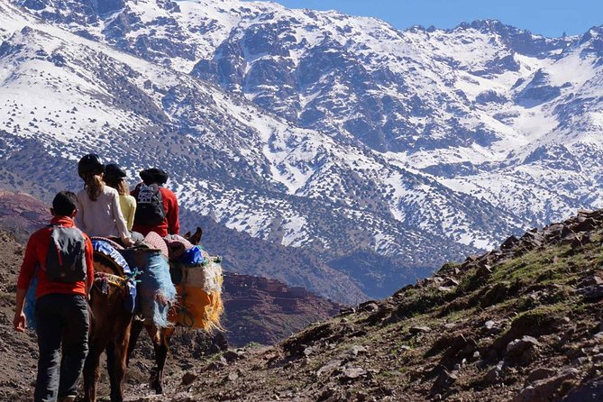 Atlas Mountains Day Tour With Camel Ride - The Sum Up