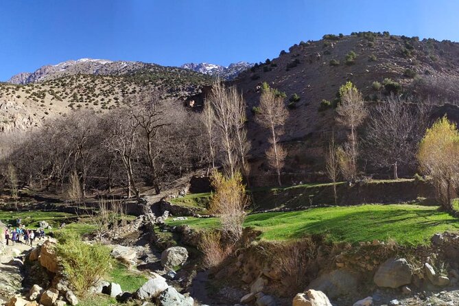 Atlas Mountains Day Trek - Reviews and Ratings