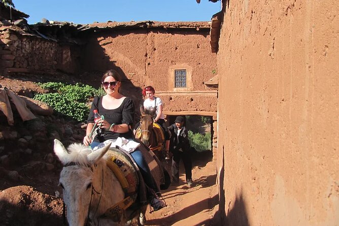 Atlas Mountains Day Trip & Desert Agafay From Marrakesh - Pricing and Booking Information
