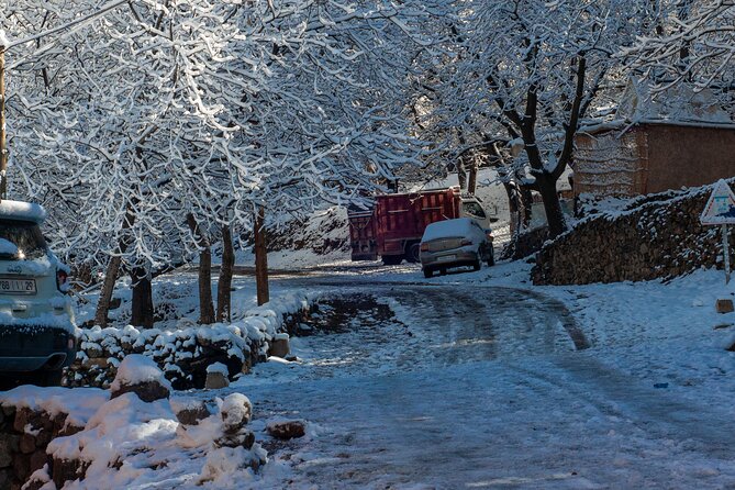 Atlas Mountains Day Trip & Desert Agafay From Marrakesh - Reviews and Ratings