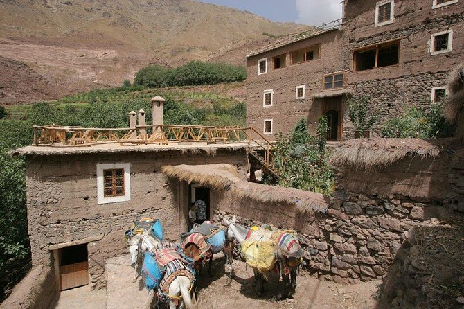Atlas Mountains Day Trip From Marrakech And Camel Ride - Pickup Information