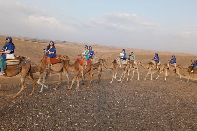 Atlas Mountains Day Trip From Marrakech - Itinerary Overview