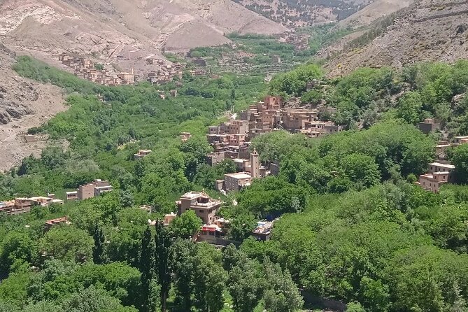 Atlas Mountains Day Trip From Marrakech & Waterfalls - Tour Highlights