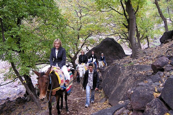 Atlas Mountains Day Trip in Imlil Valley Excursion - Pricing and Guarantee