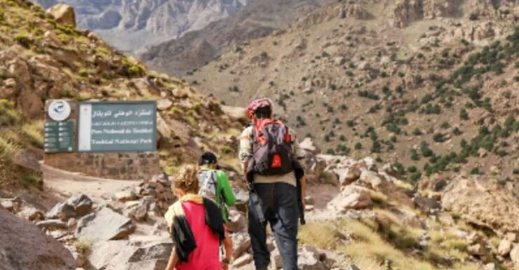 Atlas Mountains Day Trip - Experience Highlights