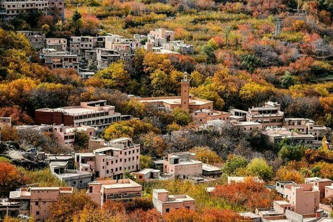 Atlas Mountains Day Trip With Camel Ride - Important Information