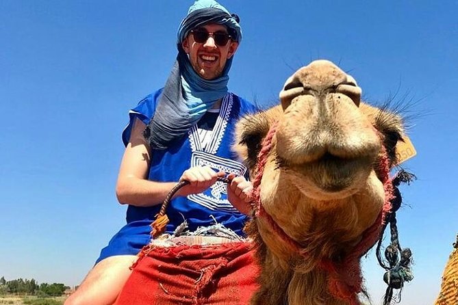 Atlas Mountains Day Trip With Camel Ride - Good To Know
