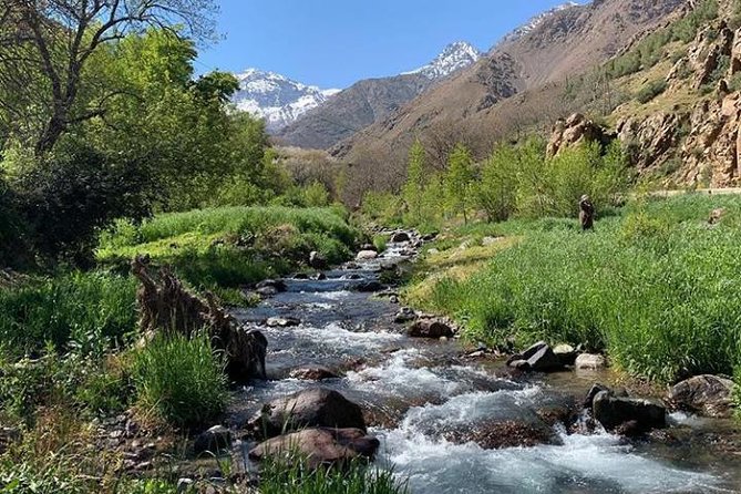 Atlas Mountains Day Trip With Camel Ride - Itinerary Highlights