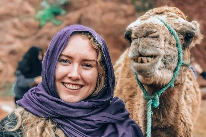 Atlas Mountains Day Trip With Camel Ride From Marrakech Including Lunch - Overview of the Atlas Mountains