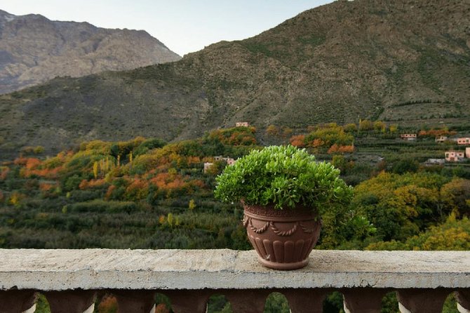 Atlas Mountains Day Trips & 3 Valleys With Camel Ride - Trip Highlights
