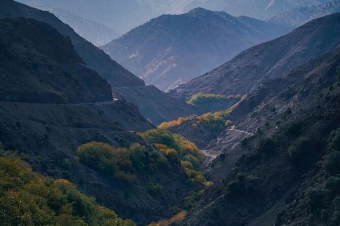 Atlas Mountains & Desert Agafay & Berber Villages Waterfalls Day Trip - Home-Cooked Meal With Local Family