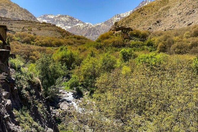 Atlas Mountains Full-Day Hiking Trip From Marrakech With Camel Ride - Reviews and Overall Rating