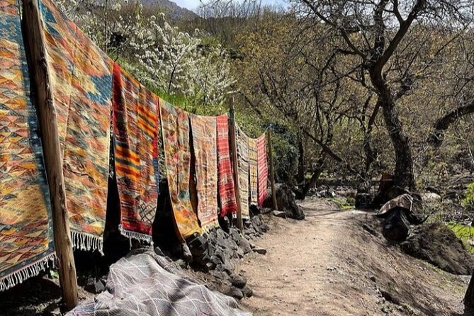 Atlas Mountains Full-Day Hiking Trip From Marrakech With Camel Ride - Pricing and Value for Money