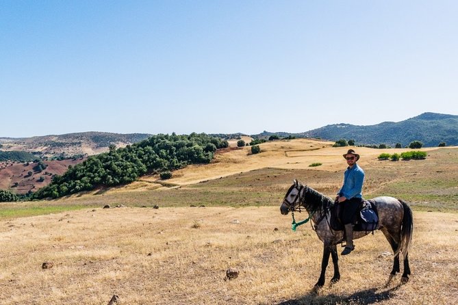 Atlas Mountains Horseback Ride Day Tour From Marrakech - Good To Know