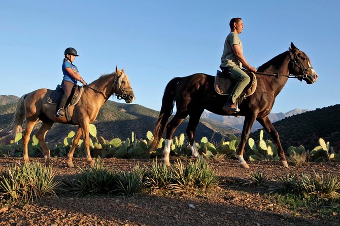 Atlas Mountains Horseback Ride Day Tour From Marrakech - Reviews