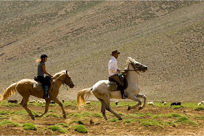 Atlas Mountains Horseback Ride Day Tour From Marrakech - Experience