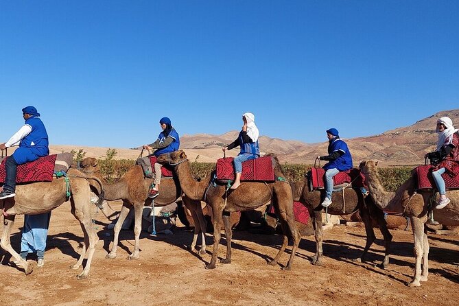 Atlas Mountains, Imlil Valley, Waterfalls, & Camel Ride Day Trip From Marrakech - Discovering the Spectacular Waterfalls