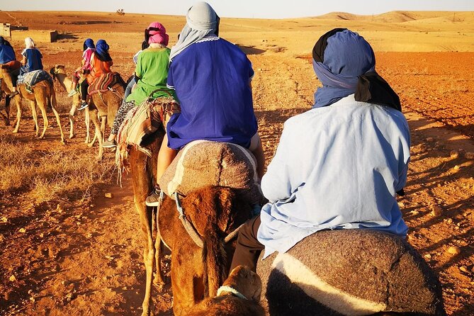 Atlas Mountains & Original 3 Valleys, Imlil Day Trip With Camel Ride, Marrakech - Excellent Service