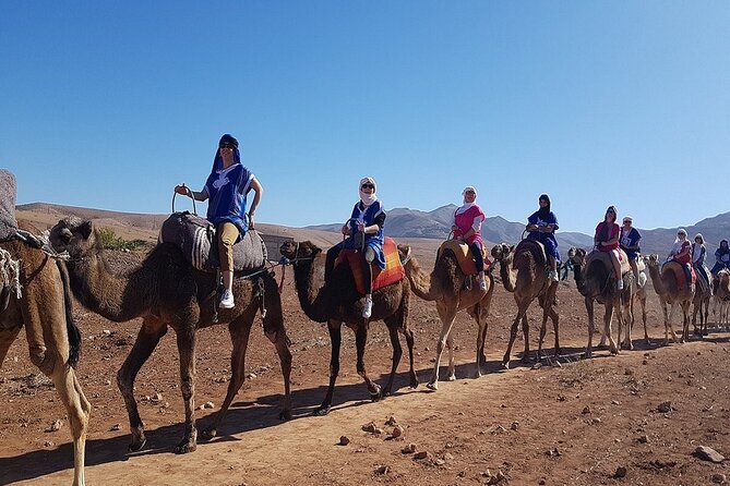Atlas Mountains & Original 3 Valleys, Imlil Day Trip With Camel Ride, Marrakech - Traditional Berber Houses